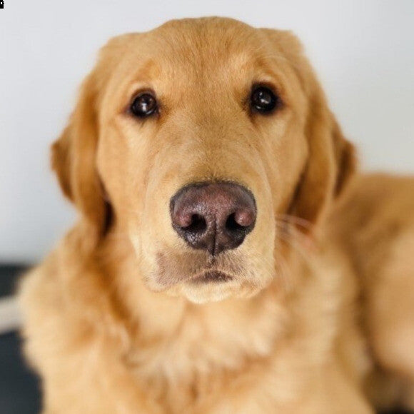 Cooper