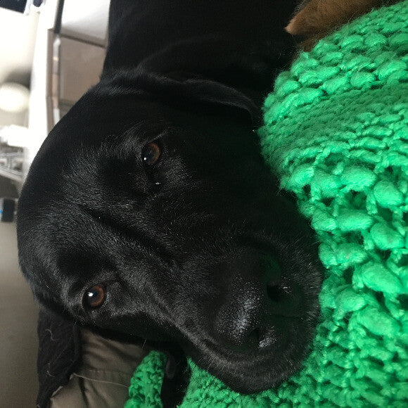 Murphy