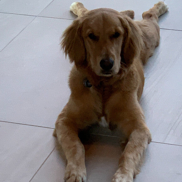 Sammie