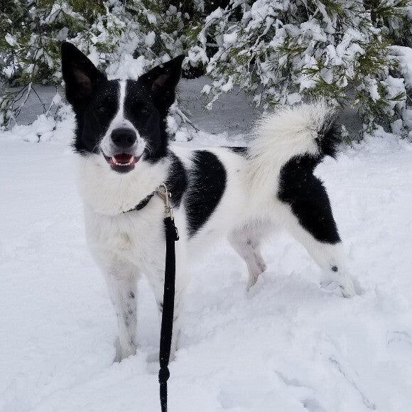 Lucy