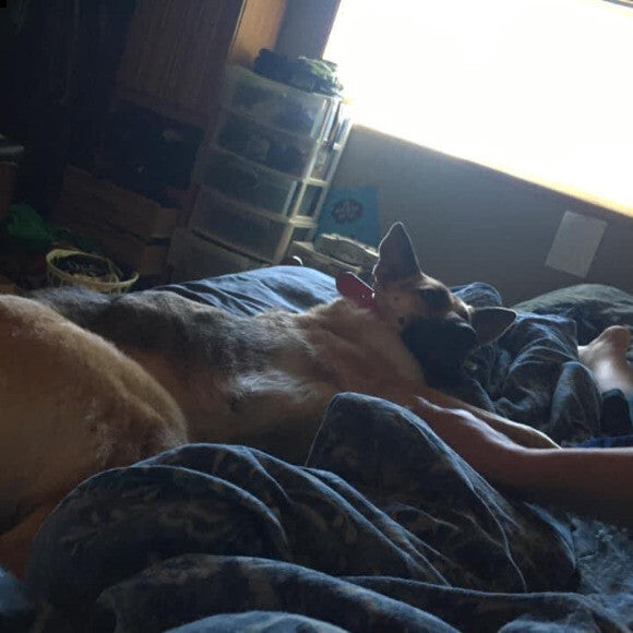 Kona