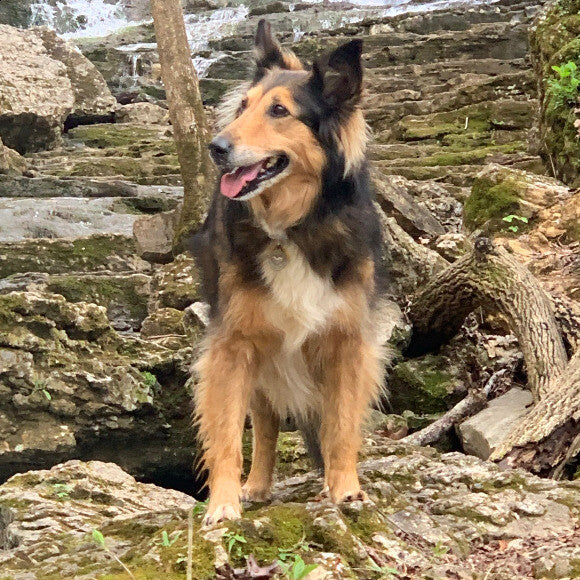 Mishka