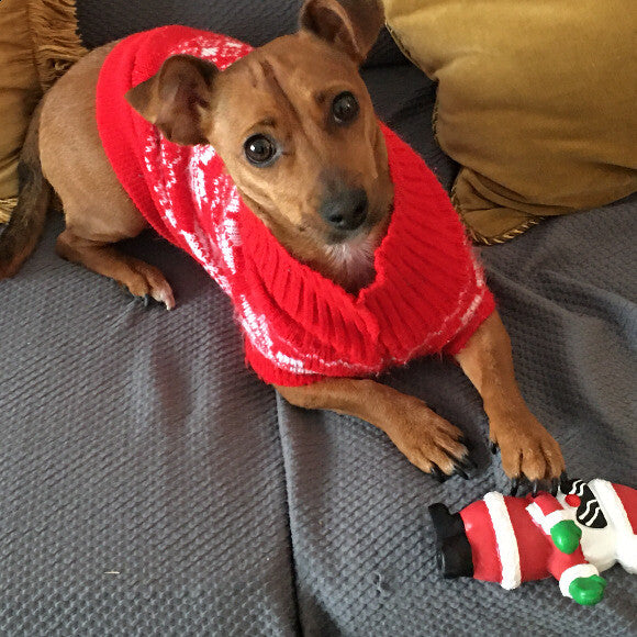 ZuZu
