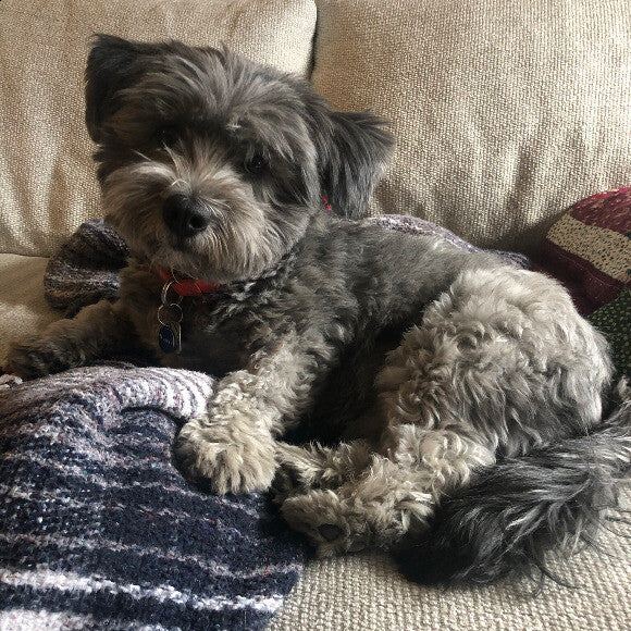 Murphy