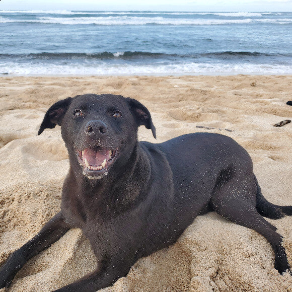 ZEKE