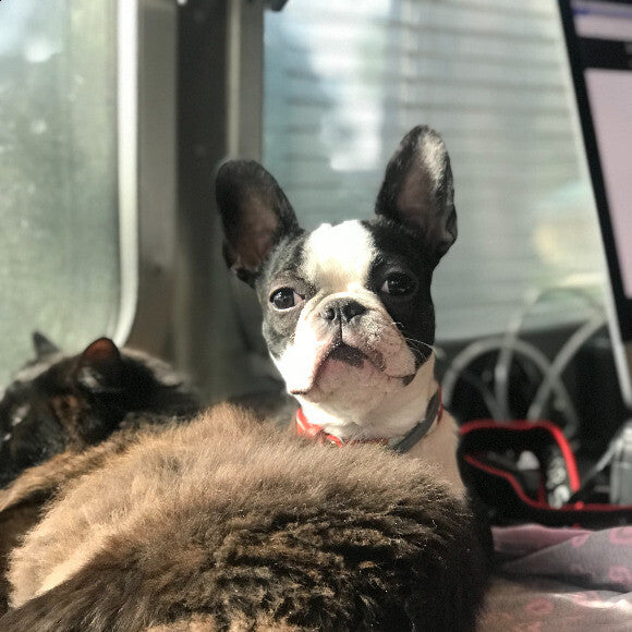 Margo