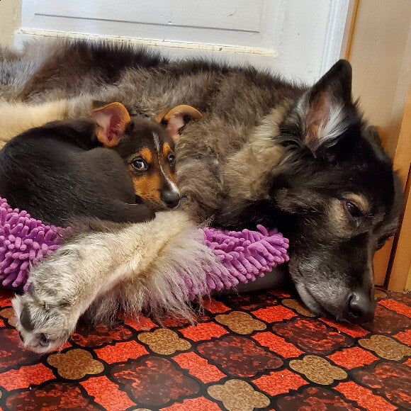 Maggie