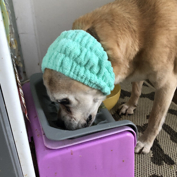 Peanut