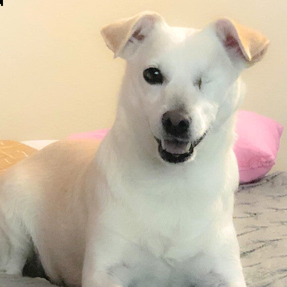 Bonnie