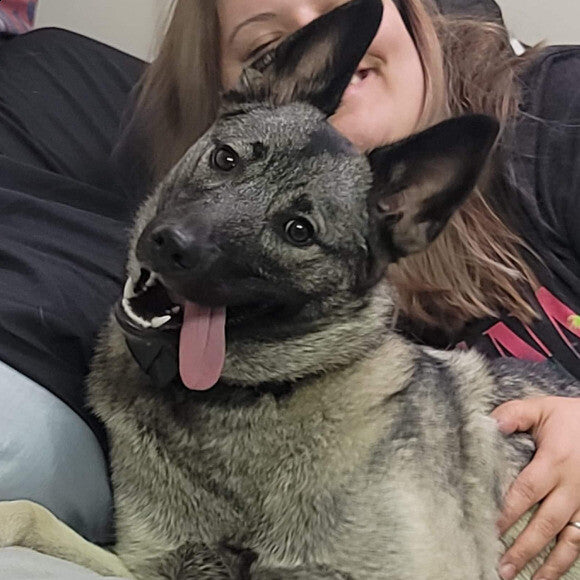 Nala