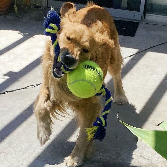 Oscar