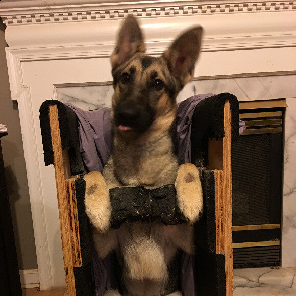 Frankie