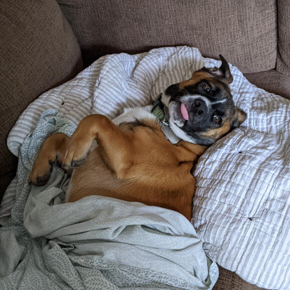 Remus