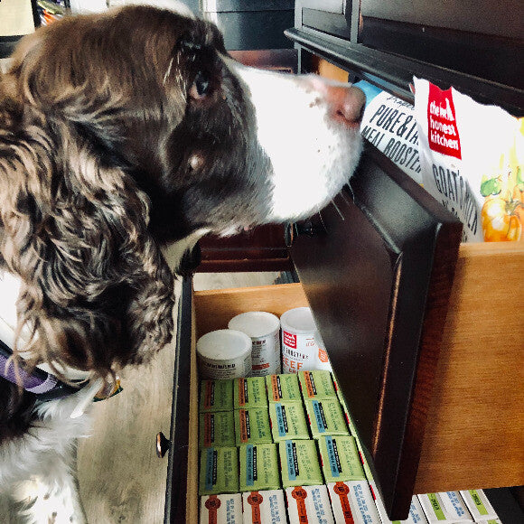#maythespringer
