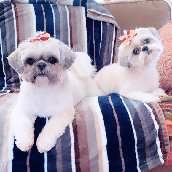 twinkie