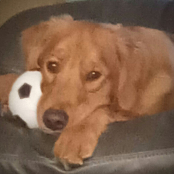 Tucker