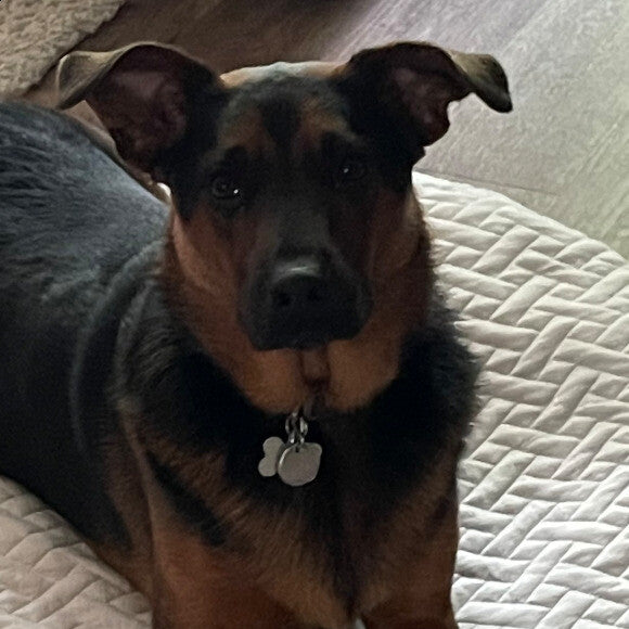 Beau