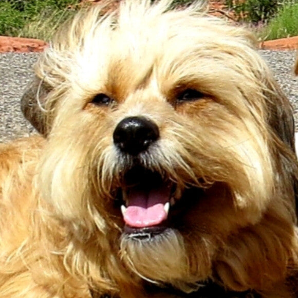 Murphy