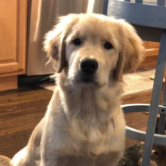 Oliver