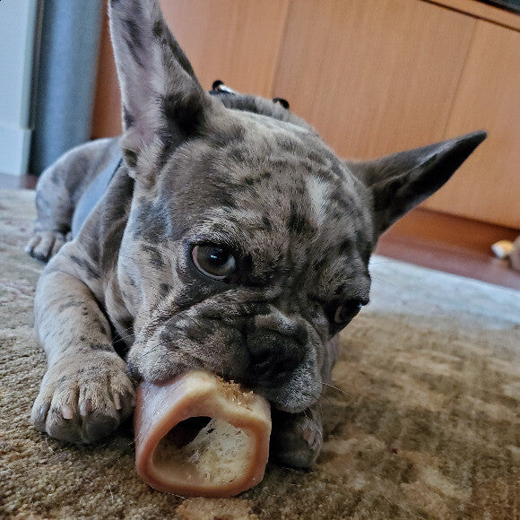 Cookie