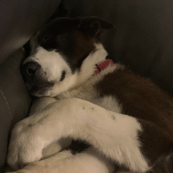 Finley