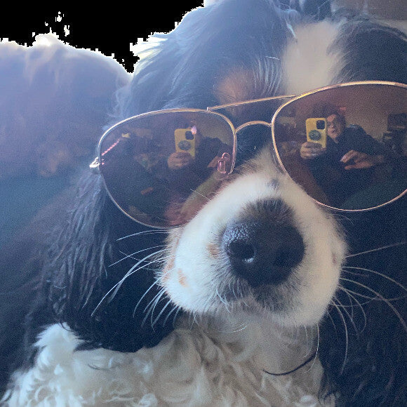 Reggie