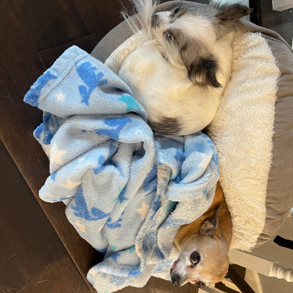 Chloe and Rex