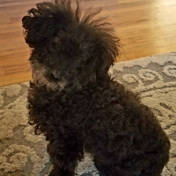 Pepper Grace
