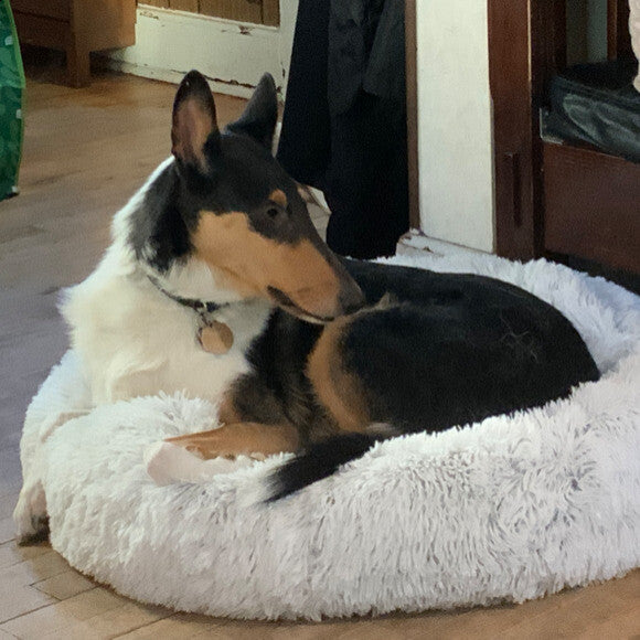 Merlin