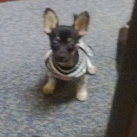 Chito