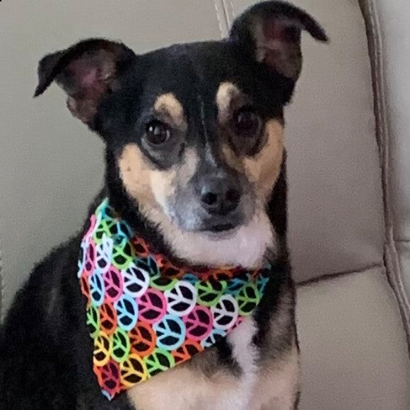 Zoe