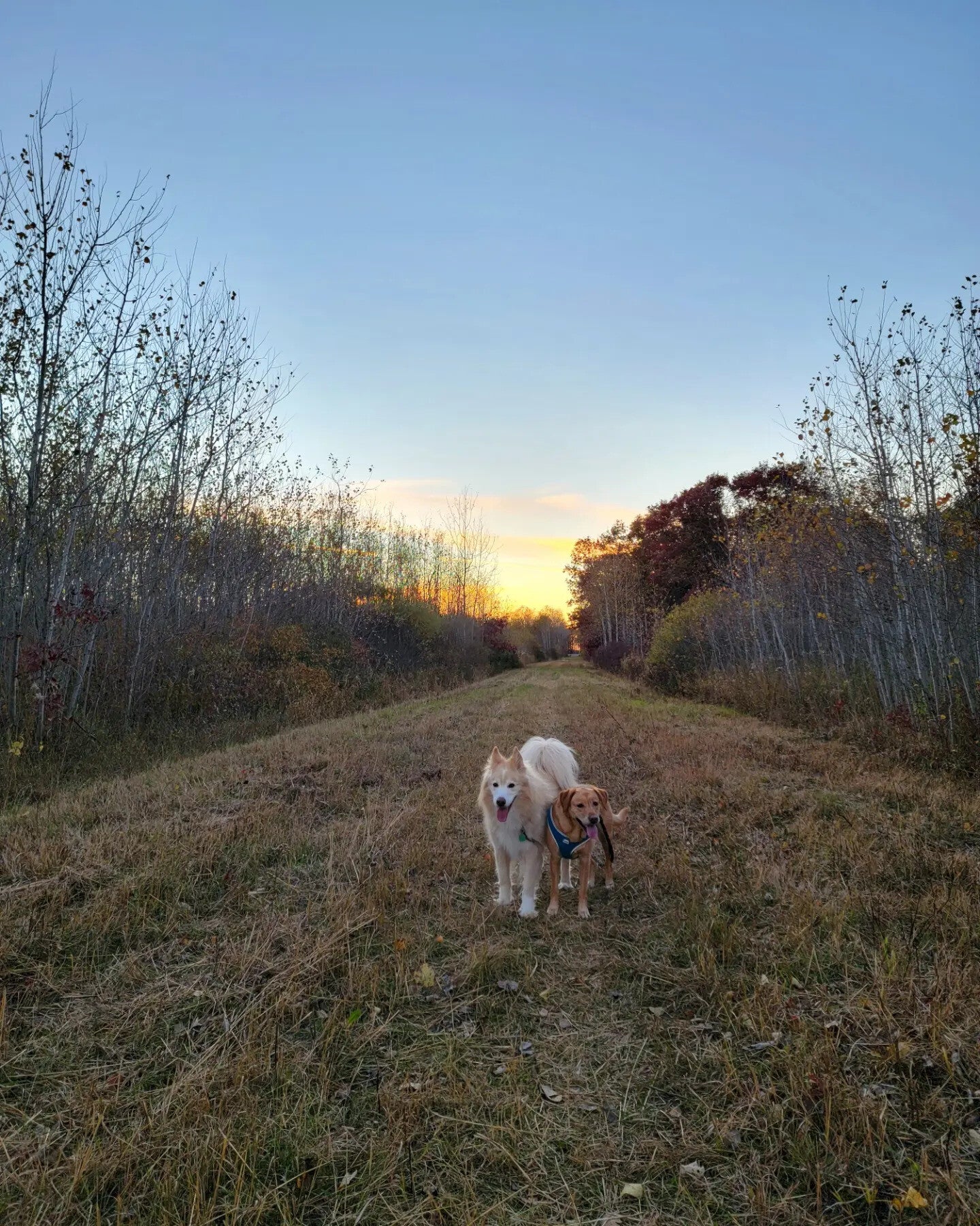 Oakley and Avery