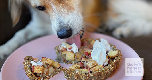Apple Pie Recipe for Dogs