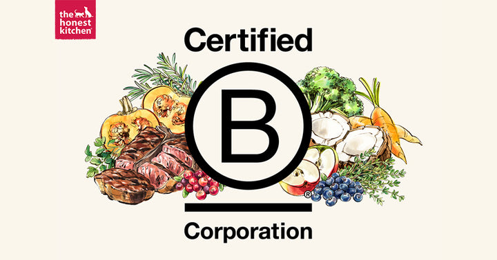 The Honest Kitchen is Now a Certified B Corporation