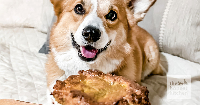 Chicken Pot Pie Recipe for Dogs
