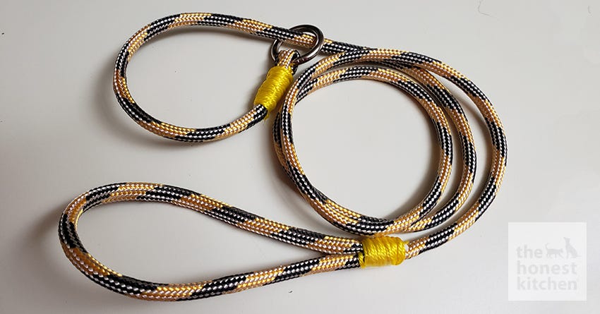 DIY Slip Leash