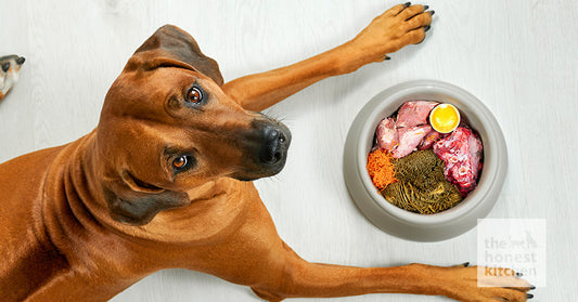 Deciphering Natural Diets for Dogs