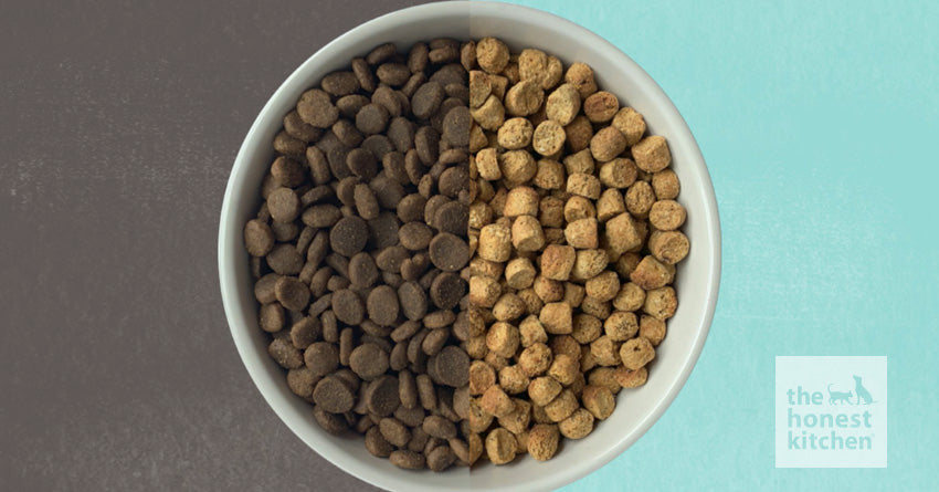Human Grade vs. Feed Grade Pet Food: Which One Is Right for Your Pet?