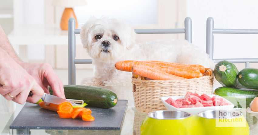 The Farmer’s Dog and Other Fresh Food Alternatives