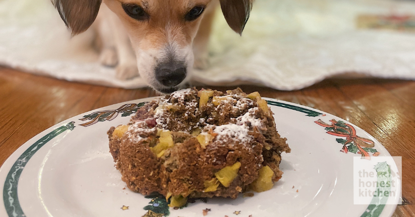 Fruit Cake Recipe for Dogs – The Honest Kitchen