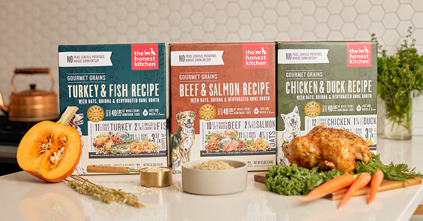 The Honest Kitchen's Gourmet Grains Recipes on a Counter