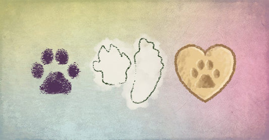 DIY Paw Print Projects