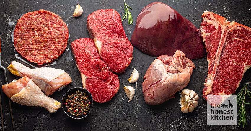 Healthy Meat for Dogs: Beef, Chicken, Duck, Turkey, Lamb, Fish, or Duck?