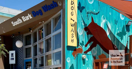 Local Love Retailer Spotlight: South Bark Dog Wash