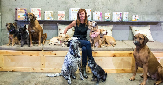 An Interview with Lucy Postins, a self-confessed Dog Obsessed CEO