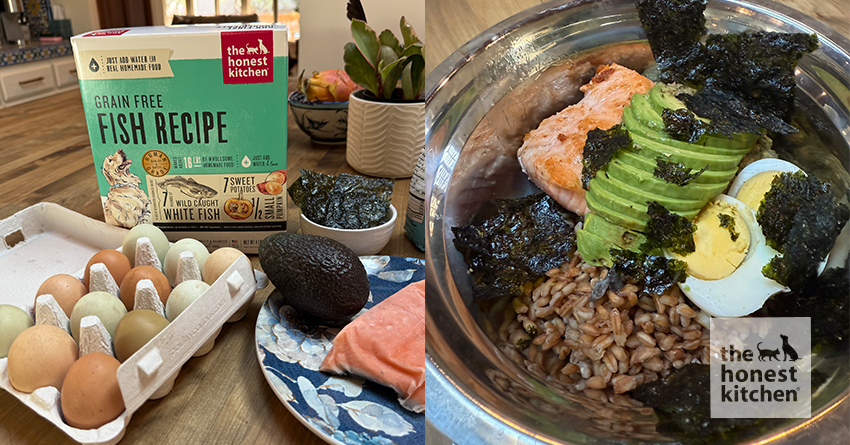 Salmon Ancient Grain Bowl for Dogs