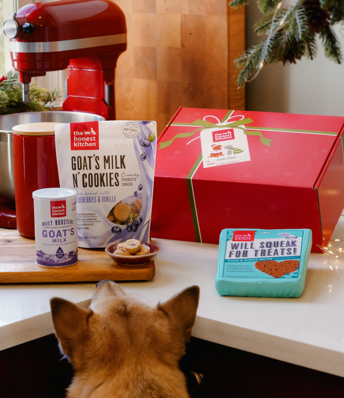 Press Releases – The Honest Kitchen