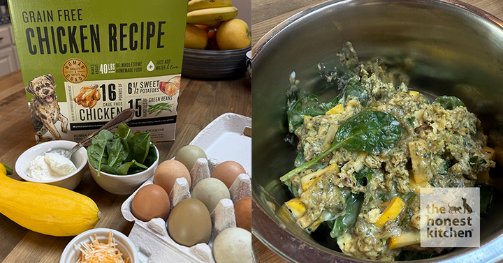 Spinach Scramble for Dogs