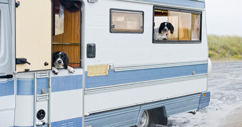 RVs and Dogs: 7 Tips to Make Traveling Easier