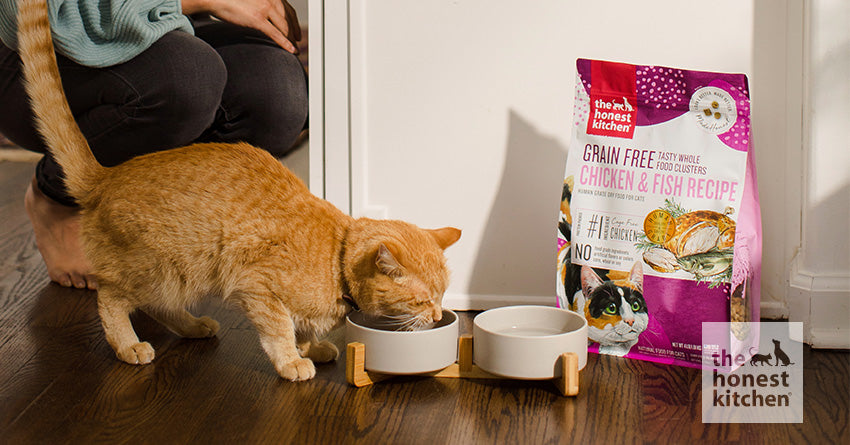 What Is Human Grade Cat Food?
